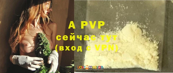 индика Сосновый Бор